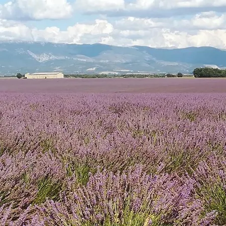 T2 Renove 3eme Etage Places Parking Manosque