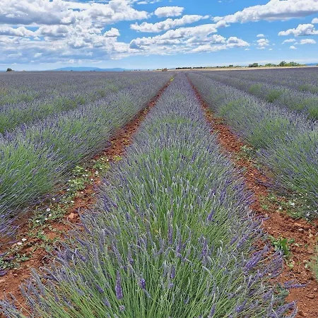 Apartament T2 Renove 3eme Etage Places Parking *